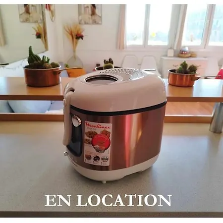 Διαμέρισμα Grand Avec Sauna Στρασβούργο